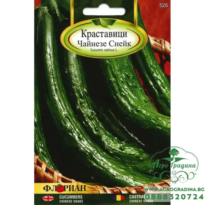 Краставици Чайнезе Снейк Краставици Чайнезе Снейк