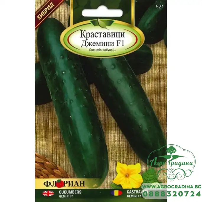 Краставици Джемини F1 Краставици Джемини F1