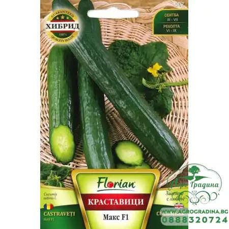 Краставици Макс F1