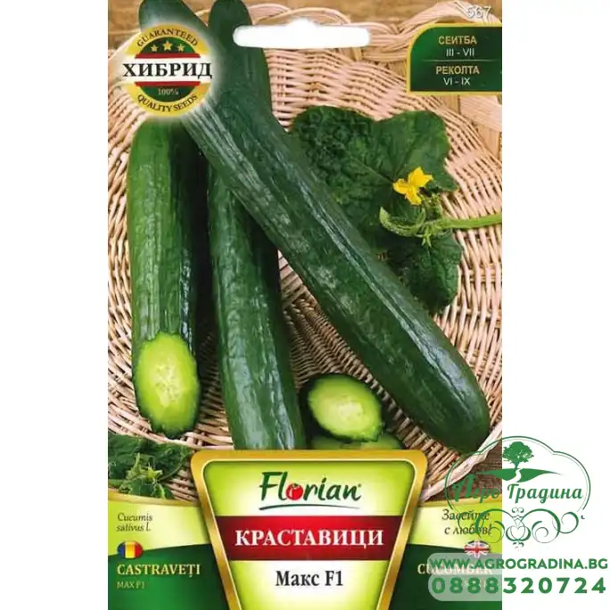 Краставици Макс F1