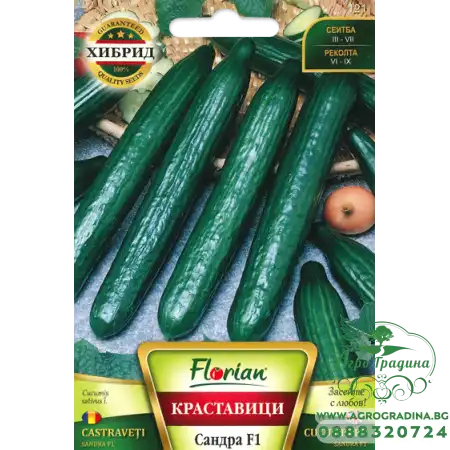 Краставици Сандра F1