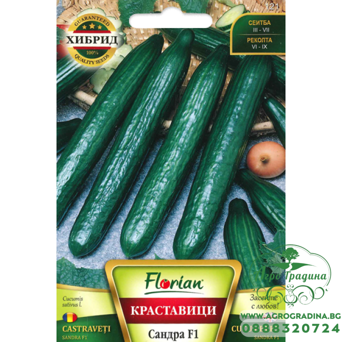 Краставици Сандра F1