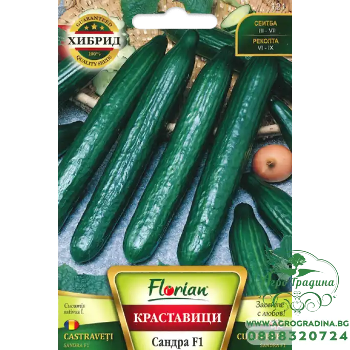 Краставици Сандра F1 Краставици Сандра F1