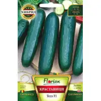 Краставица Теса F1