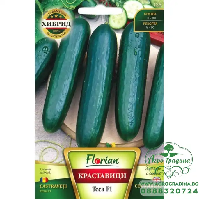Краставица Теса F1 Краставица Теса F1
