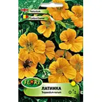 Латинка ниска Аляска