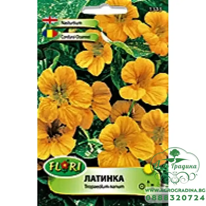 Латинка ниска Аляска