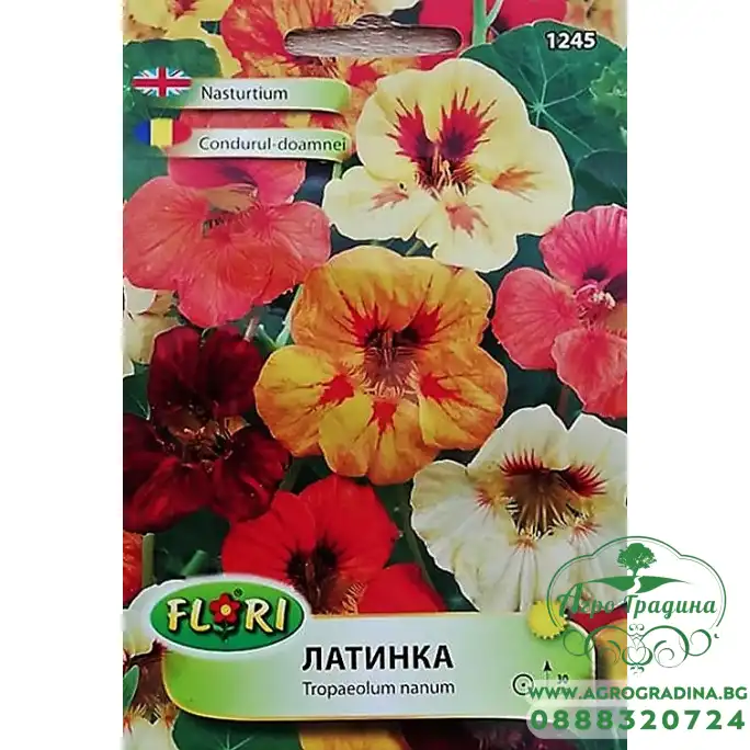 Латинка ниска микс