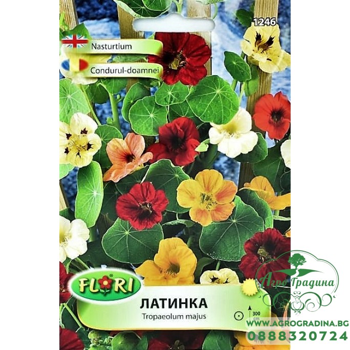 Латинка увивна смес