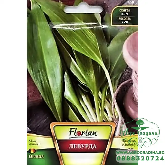 Левурда (див лук)