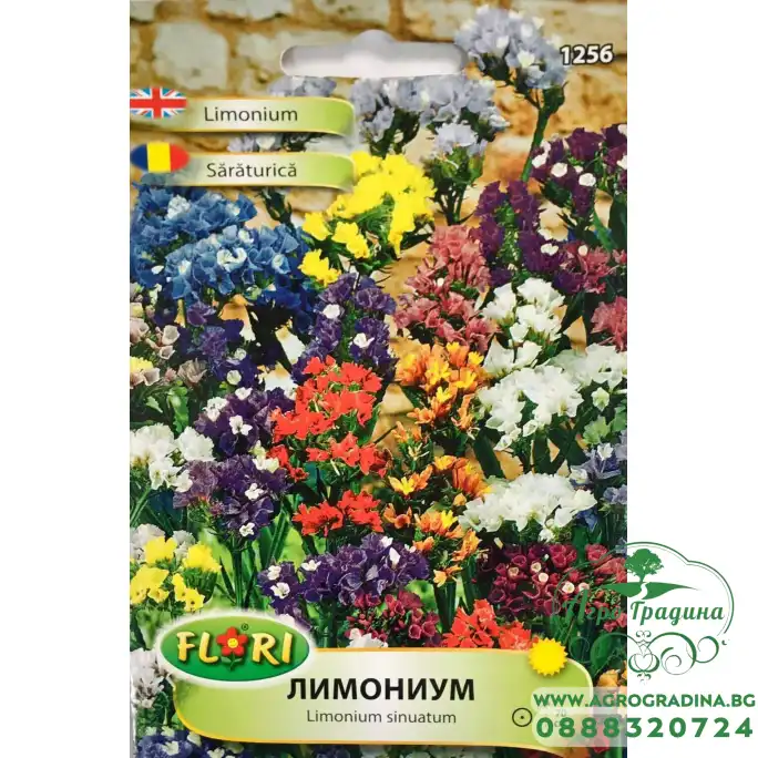 Лимониум микс