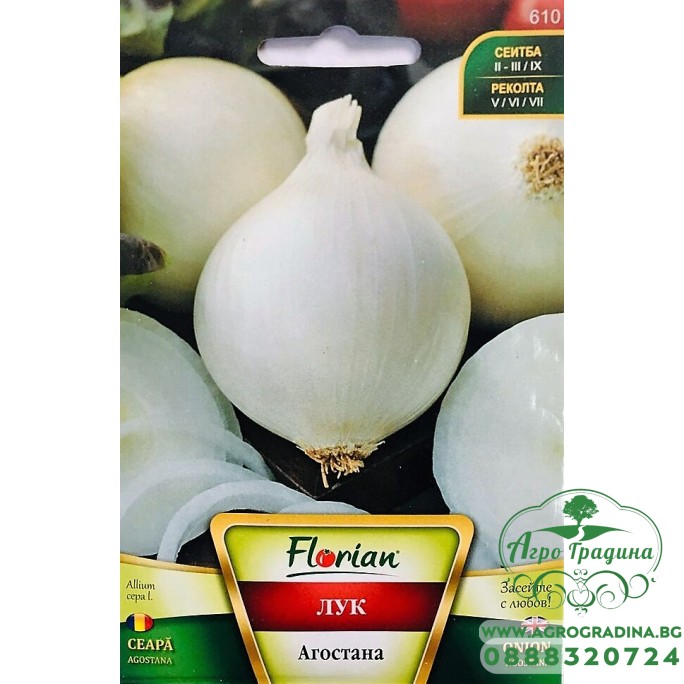 Бял лук Агостана