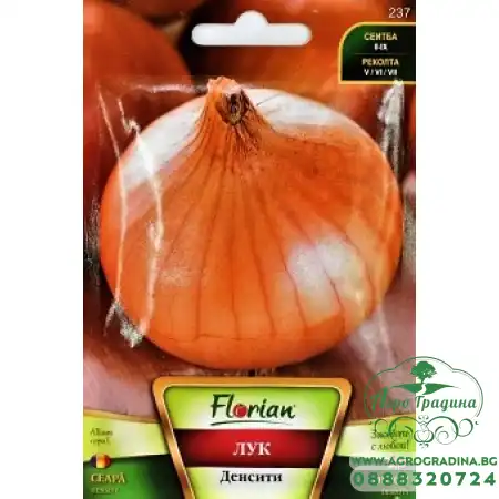 Лук Денсити (тип Испанска каба)