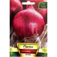 Лук Лилия (тип Асеновградска каба)