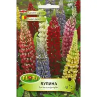 Лупина Микс Lupinus poliphyllus