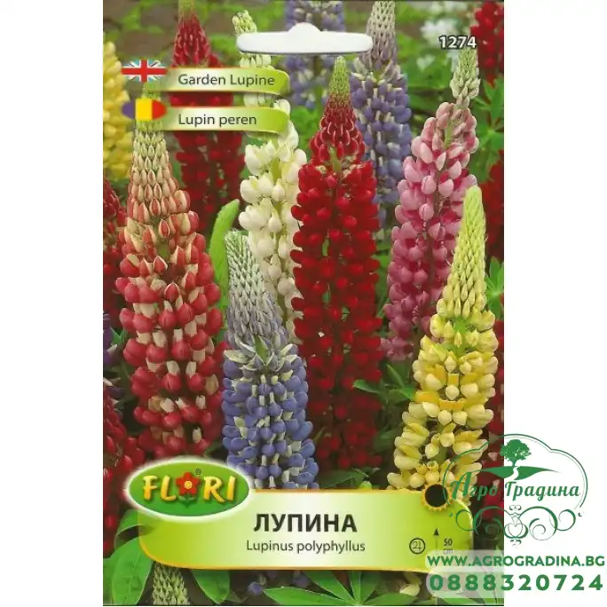 Лупина Микс Lupinus poliphyllus