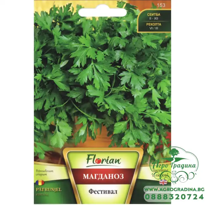 Магданоз - Фестивал