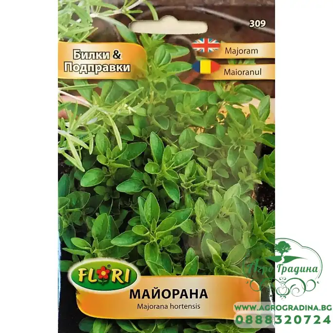 Майорана Majorana hortensis