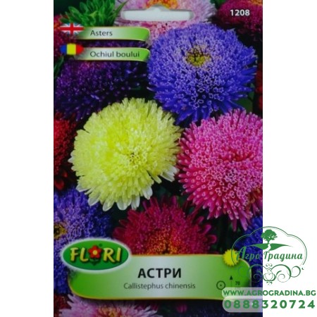 Астри Принцес микс