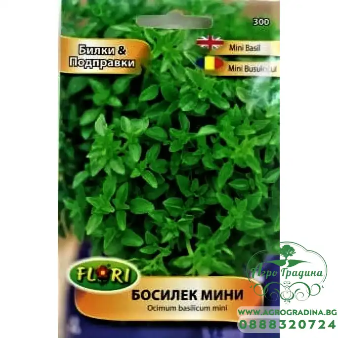 Босилек мини