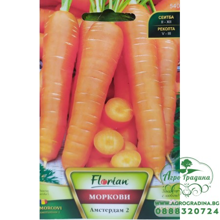 Моркови Амстердам