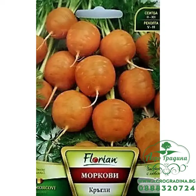 Моркови Кръгли Моркови Кръгли