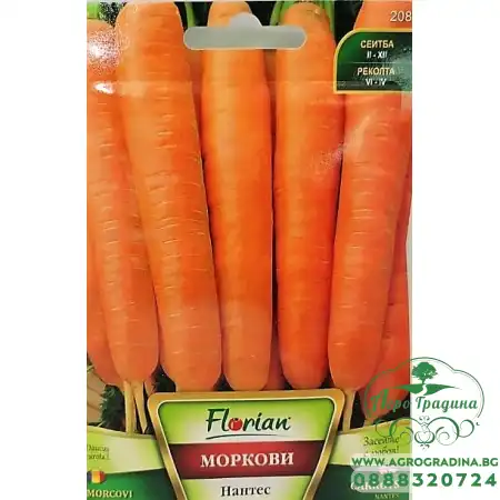 Моркови Нантес