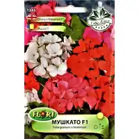 Мушкато F1 Pelargonium x hortorum