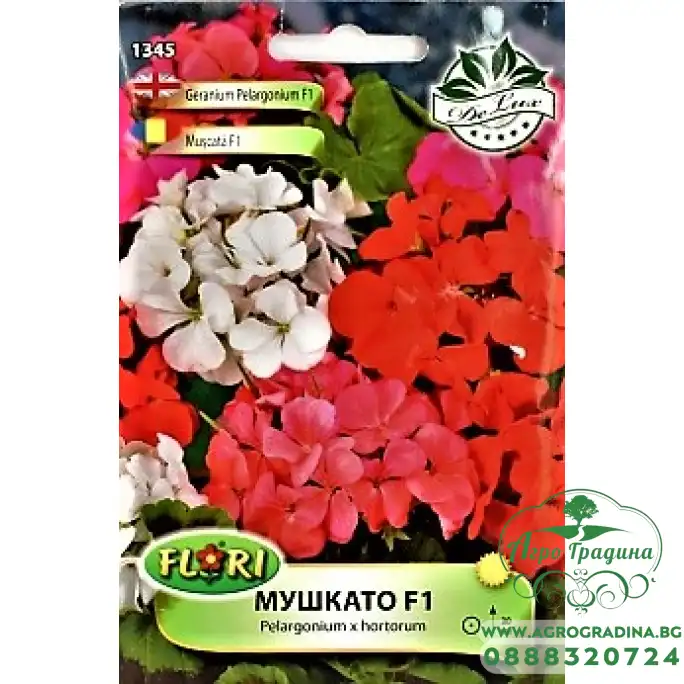 Мушкато F1 Pelargonium x hortorum