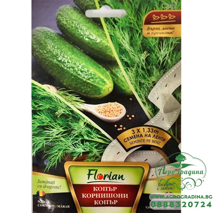 Семена на лента от Копър, Корнишони, Копър