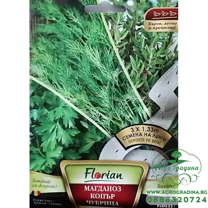 Семена на лента от Магданоз-Копър-Чубрица