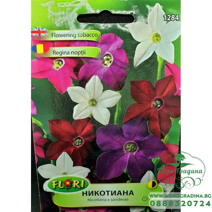 Никотиана микс