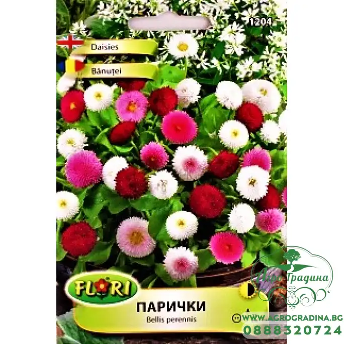 Парички, Белис Парички, Белис