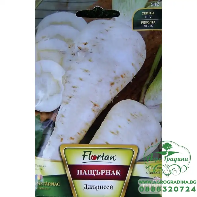 Пащърнак Джърнсей