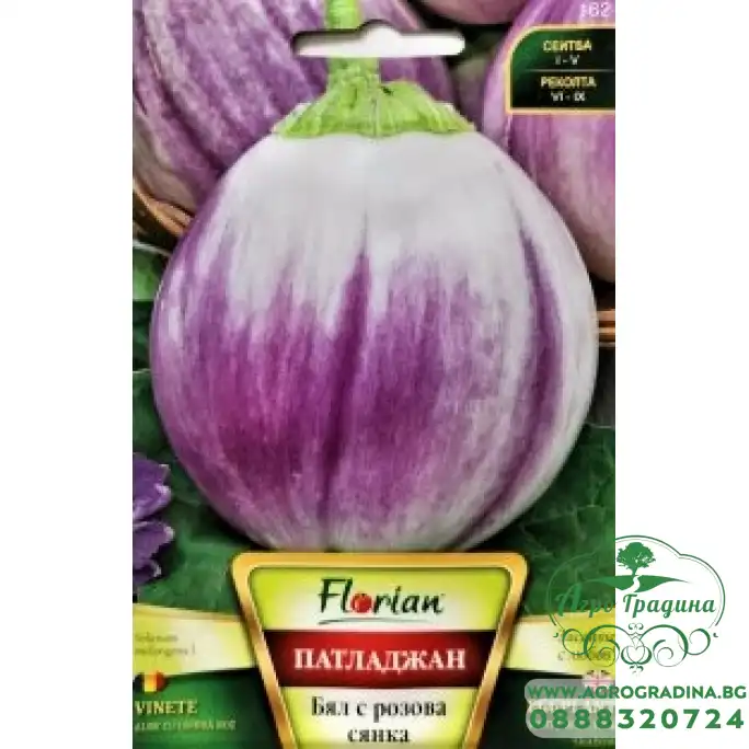 Патладжан Бял с розова сянка