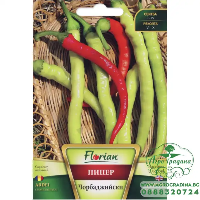 Пипер Чорбаджийски