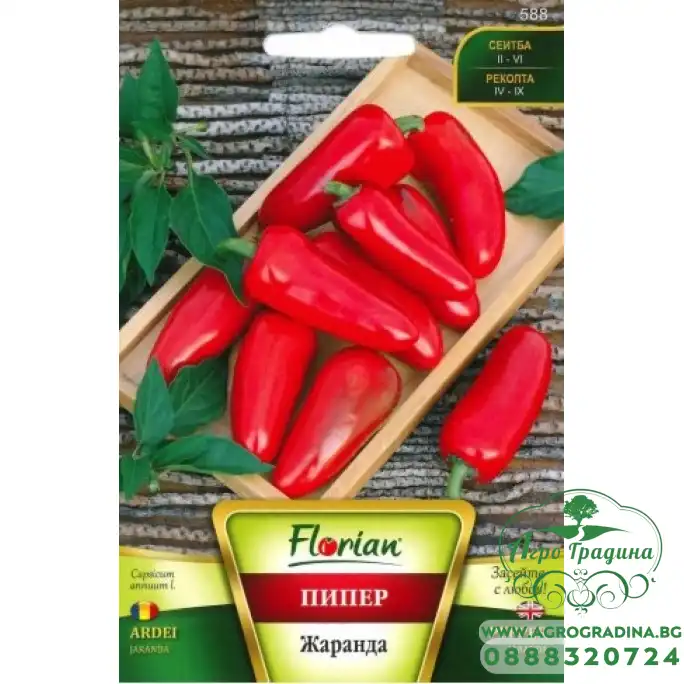 Пипер Жаранда