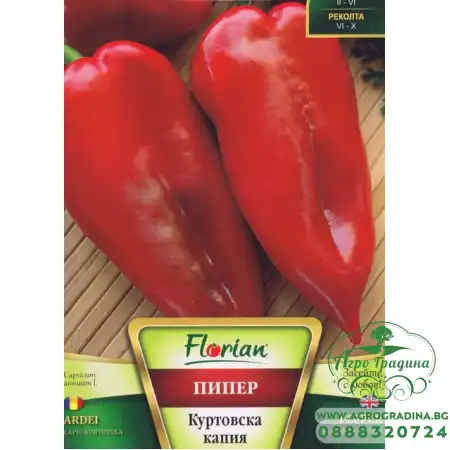 Пипер Куртовска капия