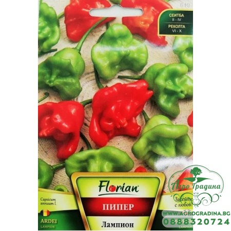 Пипер Лампион - много люти