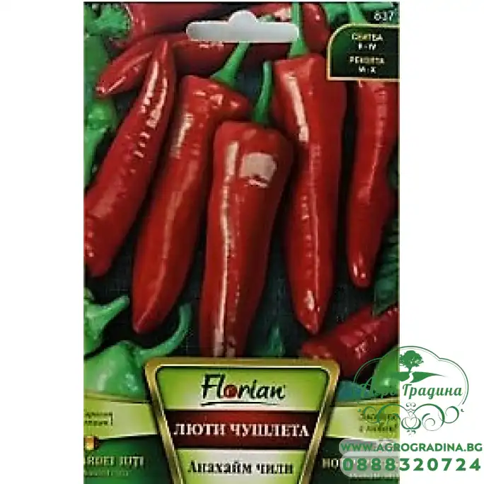 Пипер люти чушлета Анахайм чили Пипер люти чушлета Анахайм чили