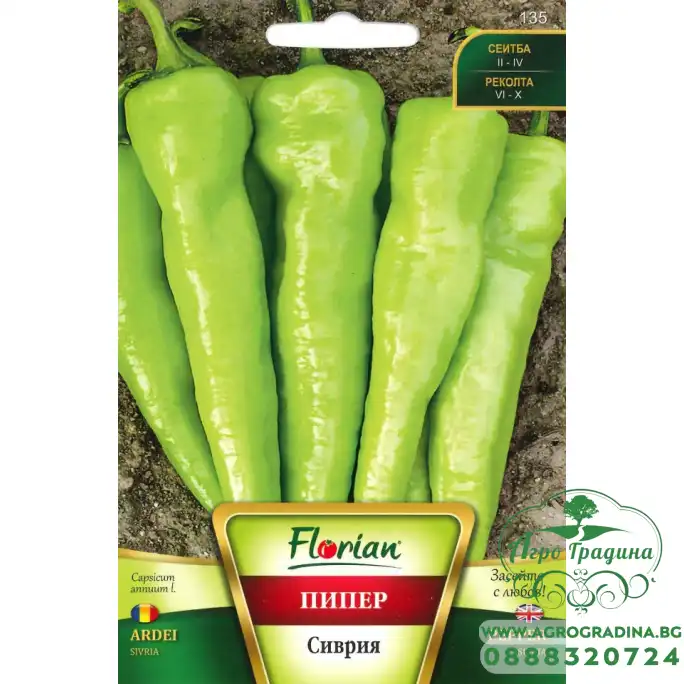 Пипер Сиврия