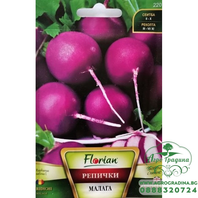 Репички Малага (лилави)Репички Малага (лилави)