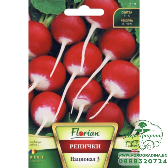 Репички Национал 3