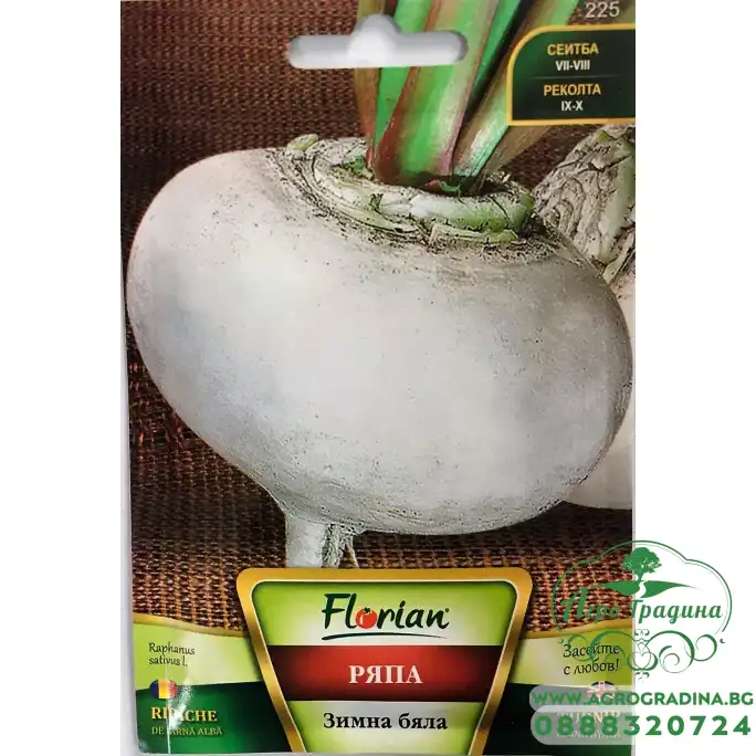 Ряпа Зимна Бяла
