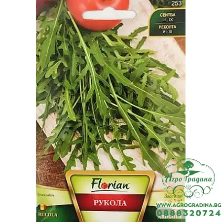 Рукола