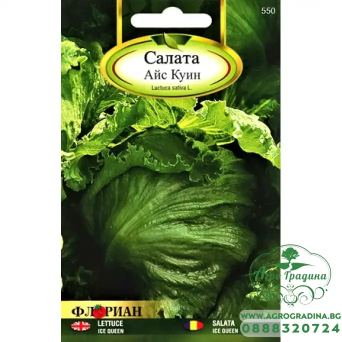 Салата Айс куин (тип айсберг)