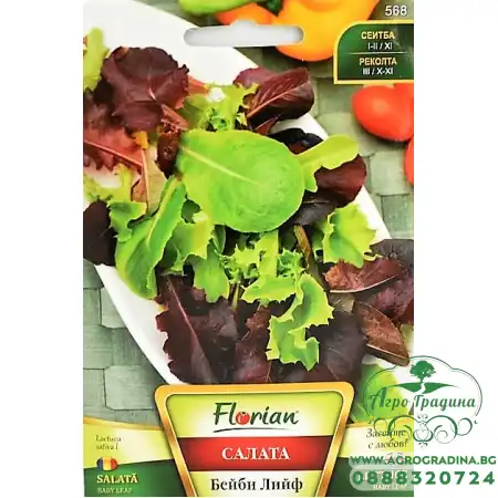 Салата Бейби Лийф