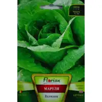 Маруля Валмаин