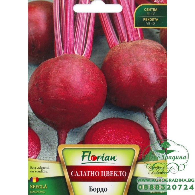 Салатно цвекло Бордо
