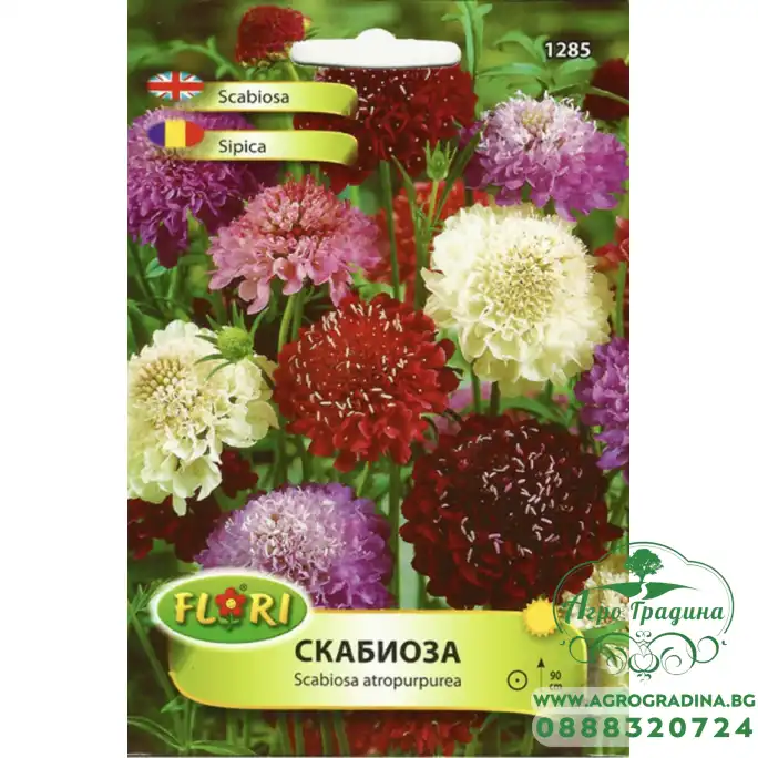 Скабиоза микс
